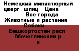 Немецкий миниатюрный(цверг) шпиц › Цена ­ 50 000 - Все города Животные и растения » Собаки   . Башкортостан респ.,Мечетлинский р-н